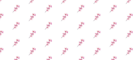 pink flowers isolated on white