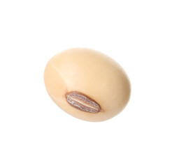 One raw soy bean isolated on white
