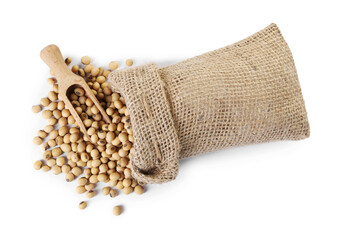 Soy beans in burlap sack and scoop isolated on white, top view