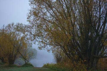 Fish Lake Fall