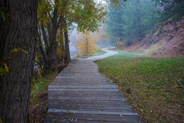 Fish Lake Fall