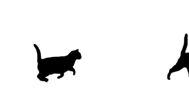 Silhouette of a cat running across a vibrant yellow screen background. Animation depicting a black cat walking	