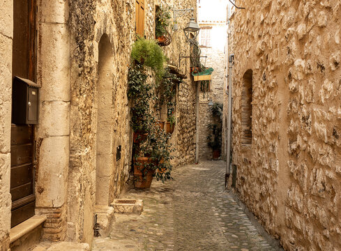Fototapeta cobbled alley lined with stone houses and plants climbing a wall in a picturesque old village in Provence, France