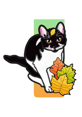 Autumn cat