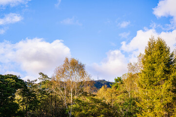 三城牧場から見上げる電波塔　美ヶ原