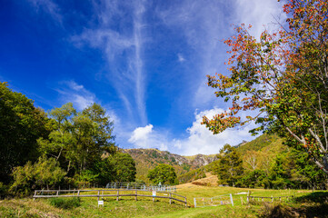 秋の三城牧場から望む電波塔　美ヶ原高原