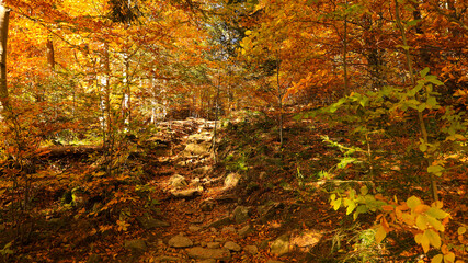 The trail to the Pilsko mountain from the Glinne pass. The season of autumn, called the "golden autumn". A beautiful sunny day in October.