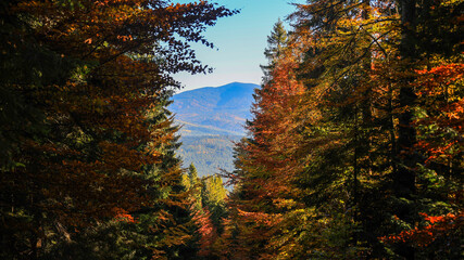 The trail to the Pilsko mountain from the Glinne pass. The season of autumn, called the 