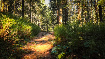 The trail to the Pilsko mountain from the Glinne pass. The season of autumn, called the 