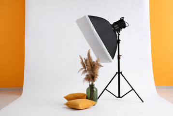 Modern photo studio with floral decor in vase, pillows and professional lightening equipment on...