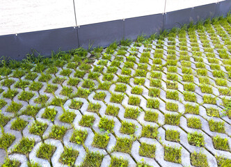 Pedestrian lawn based on concrete lawn grid
