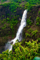 Naklejka premium waterfall in jungle