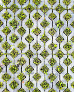 Top view of a lawn grid