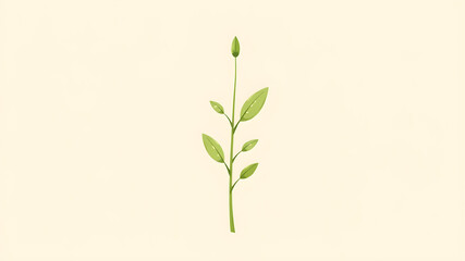Fototapeta premium Minimalist Green Leaf on Beige