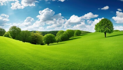 Vibrant Green Background Fresh and Natural Backdrops for Your Designs