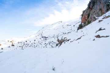 Snow and winter for the Arabs, snowfall in Jijel state, Algeria, the Maghreb, snow in the Arab countries of North Africa, snow in the mountains, trees, forest, sky and clouds, Winter and snow Africa.