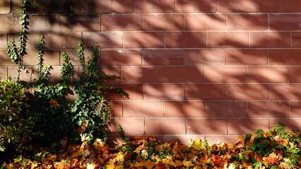 A vibrant display of autumn leaves sprawls across the ground at the base of a red brick wall. Sunlight creates playful shadows, enhancing the warm colors of fall foliage.