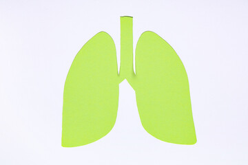 Green paper lungs on white background