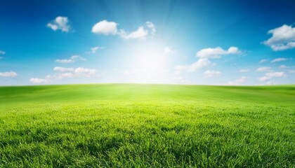Obraz premium beautiful panoramic natural landscape of a green field with grass against a blue sky with sun spring summer blurred background