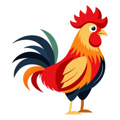 rooster isolated on white background