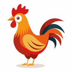 rooster isolated on white background
