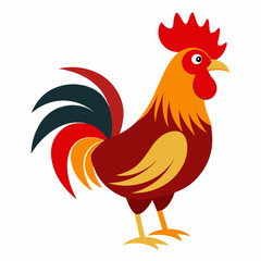 rooster isolated on white background