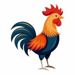 rooster isolated on white background