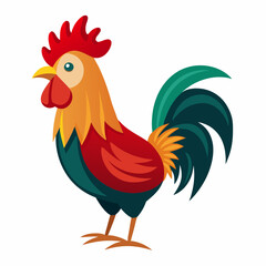rooster isolated on white background