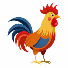 rooster isolated on white background
