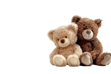 Cute Bear Pairing Captured in a Delightful Moment