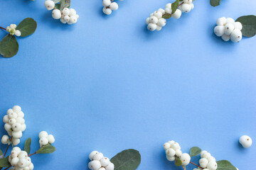Snowberries on light blue background. Winter floral flatlay. Selective focus, copy space