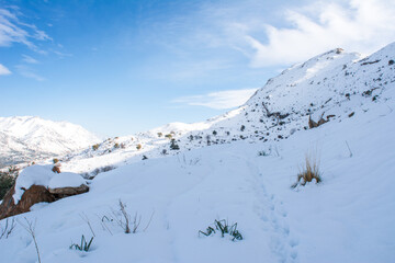 Snow and winter for the Arabs, snowfall in Jijel state, Algeria, the Maghreb, snow in the Arab...