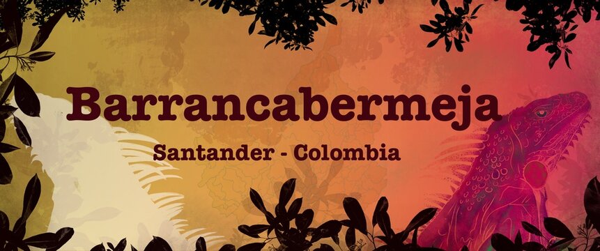 Barrancabermeja