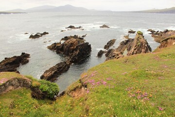 Irish Rocky Coast