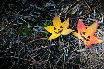 Two leaves with the drawing of halloween faces.