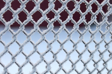 Fototapeta premium Fence made of rabica net in needle frost. Winter natural ornament. Copy space.