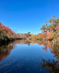 autumn in the state park 