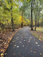 Obraz premium autumn in the park