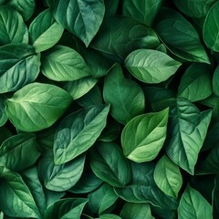 Fototapeta premium Nature backdrop for design