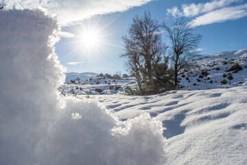 Snow and winter for the Arabs, snowfall in Jijel state, Algeria, the Maghreb, snow in the Arab...