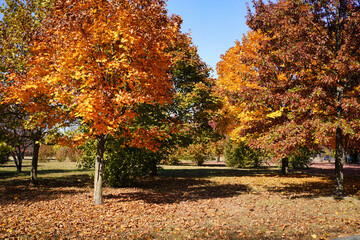 Naklejka premium Liberty State Park in Jersey City.