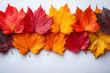 Obraz premium Top view of scattered autumn leaves with vibrant colors on an isolated white background