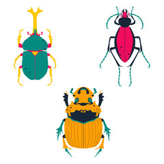 Set of cute, colorful insects. Japanese rhinoceros beetle, Dichotomius mormon, Ceroglossus Blue. Vector illustration, icon set.
