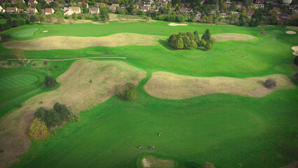 Aerial View of a Lush and Verdant Green Golf Course Featuring Dry Patches Throughout