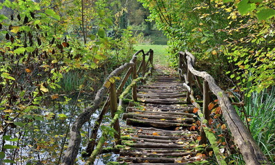 Holzbrücke im Naturschutzgebiet Rappennestgießen bei Burkheim am Kaiserstuhl