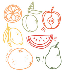 vector set of fruit