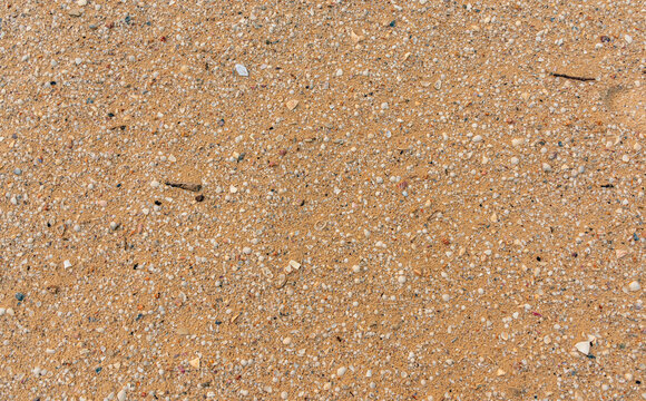 textura de areia com conchas do mar