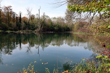 See im Naturschutzgebiet bei Burkheim am Kaiserstuhl