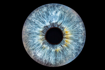 iride azzurra con sfumatura arancione