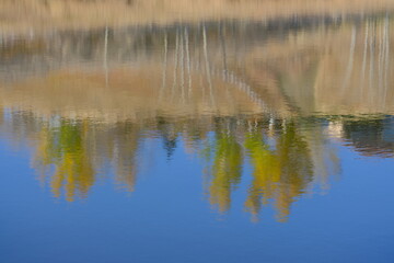 reflection of trees in water, autumn